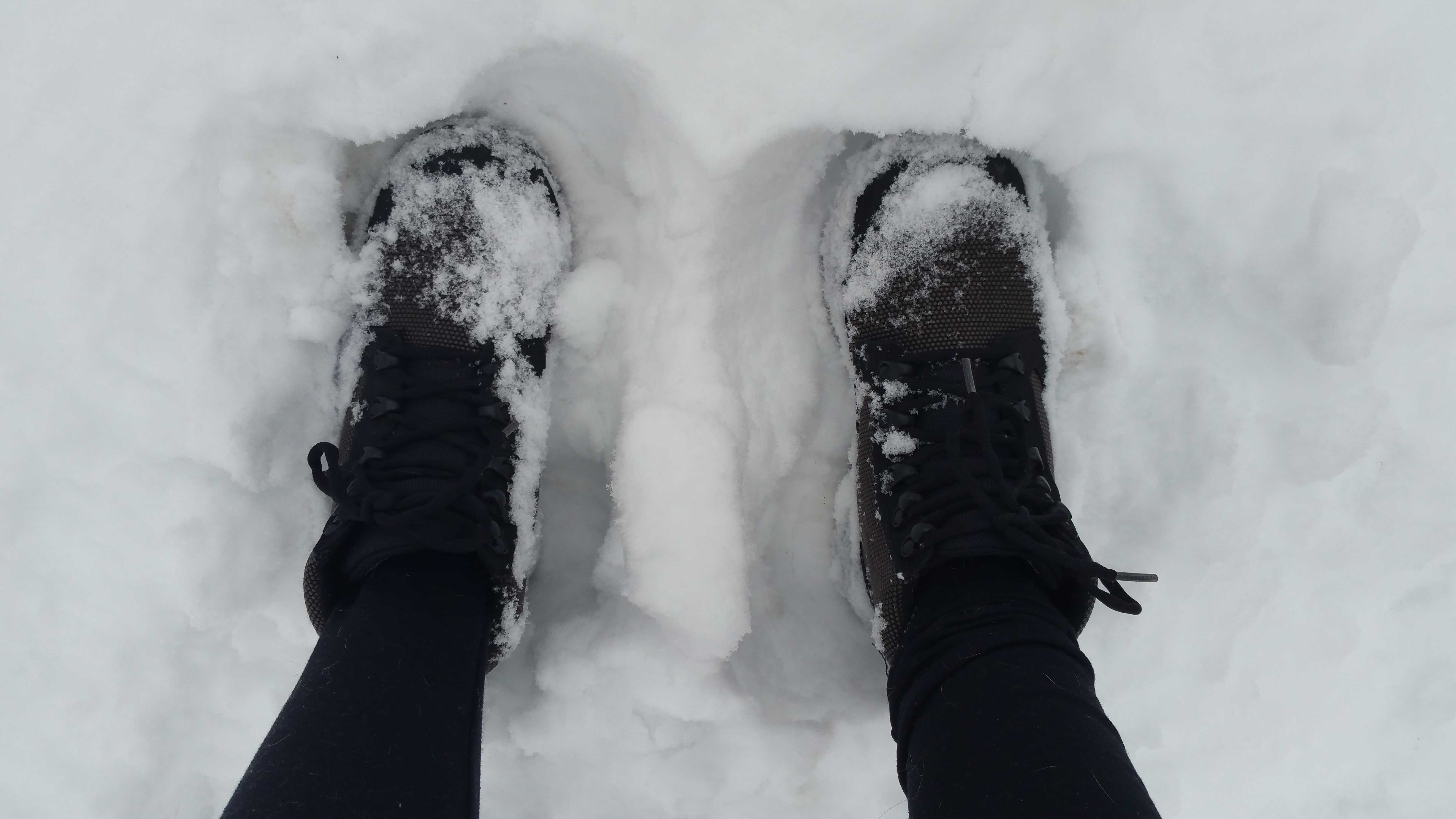 Shoveling Boot