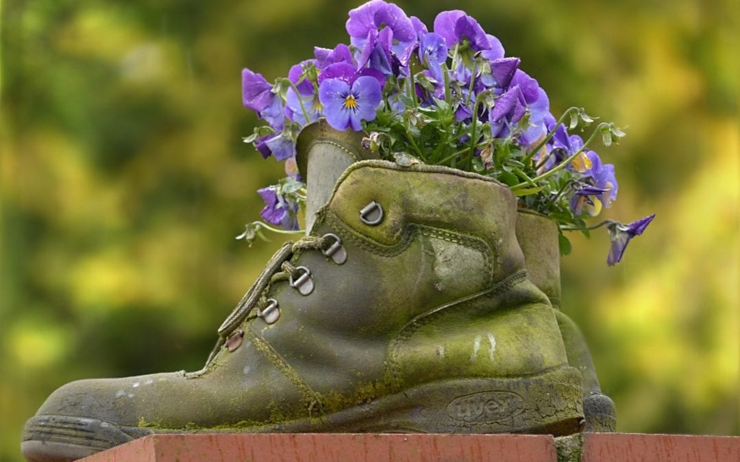 Signs You Need to Replace Your Hiking Boots