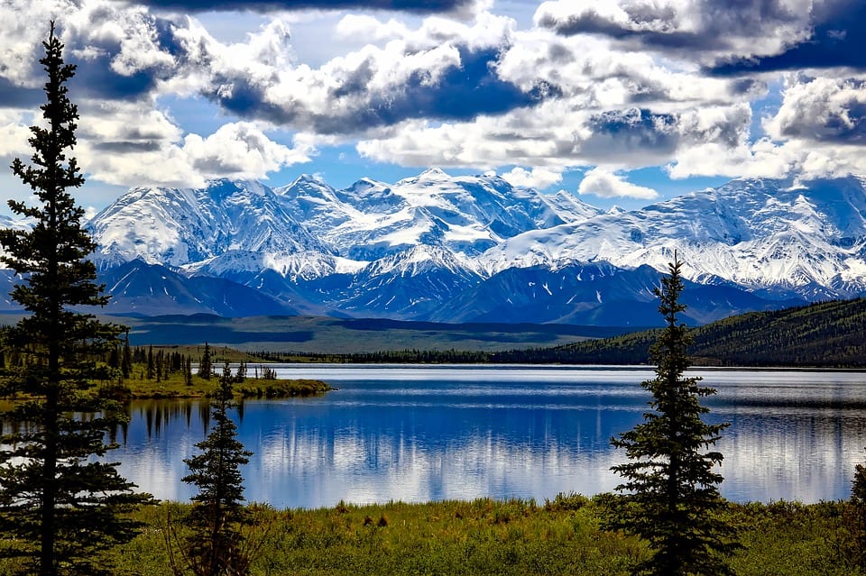 Best Camping In All 50 States: Discover Your Local Outdoors